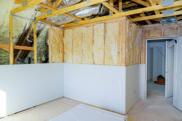 Best Insulation Removal  in Ontonagon, MI