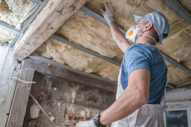 Best Insulation for New Construction  in Ontonagon, MI