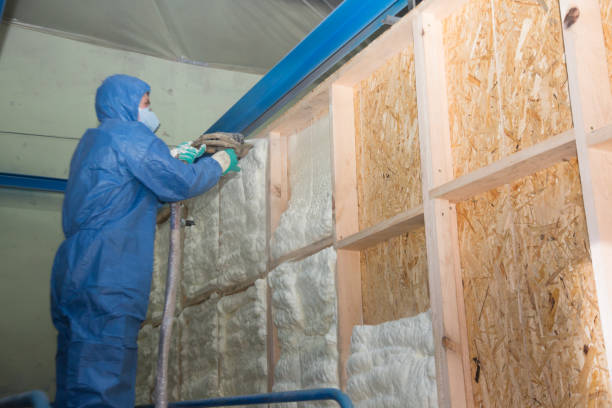 Professional Insulation Contractor in Ontonagon, MI
