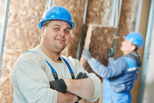 Insulation Inspection Services in Ontonagon, MI