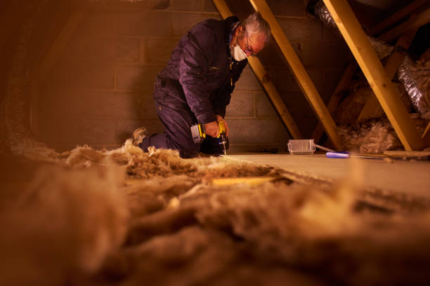 Best Home Insulation Services  in Ontonagon, MI